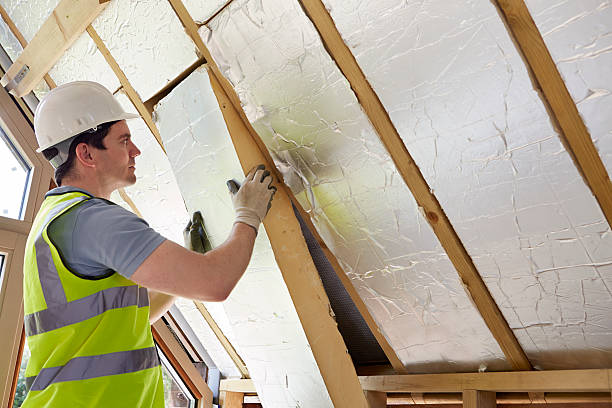 Best Specialty Insulation in Ellisville, MO